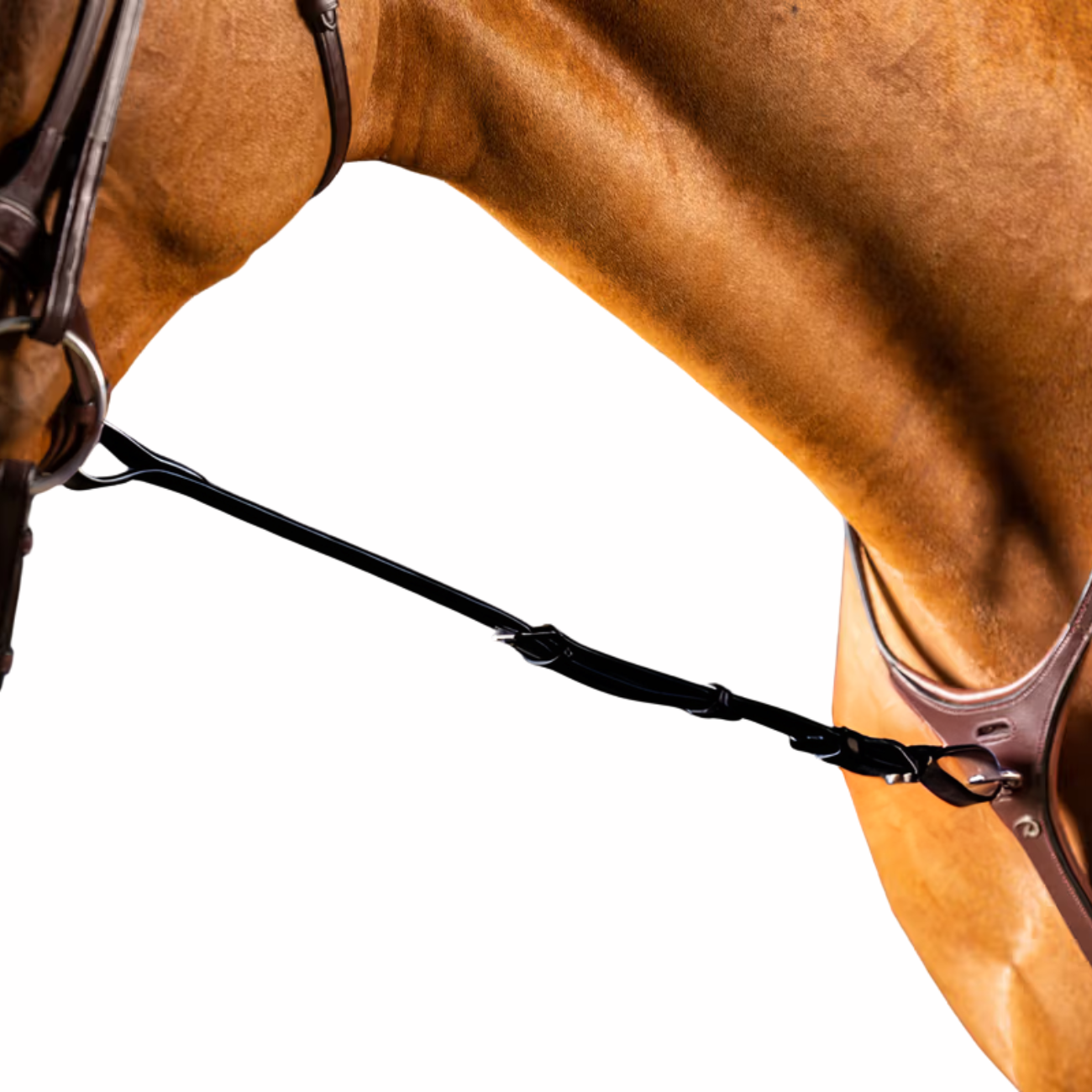 DY'ON STANDING MARTINGALE ATTACHMENT NEW ENGLISH COLLECTION Nero MARTINGALE E FORCHETTE NE07E BLACK DY'ON 