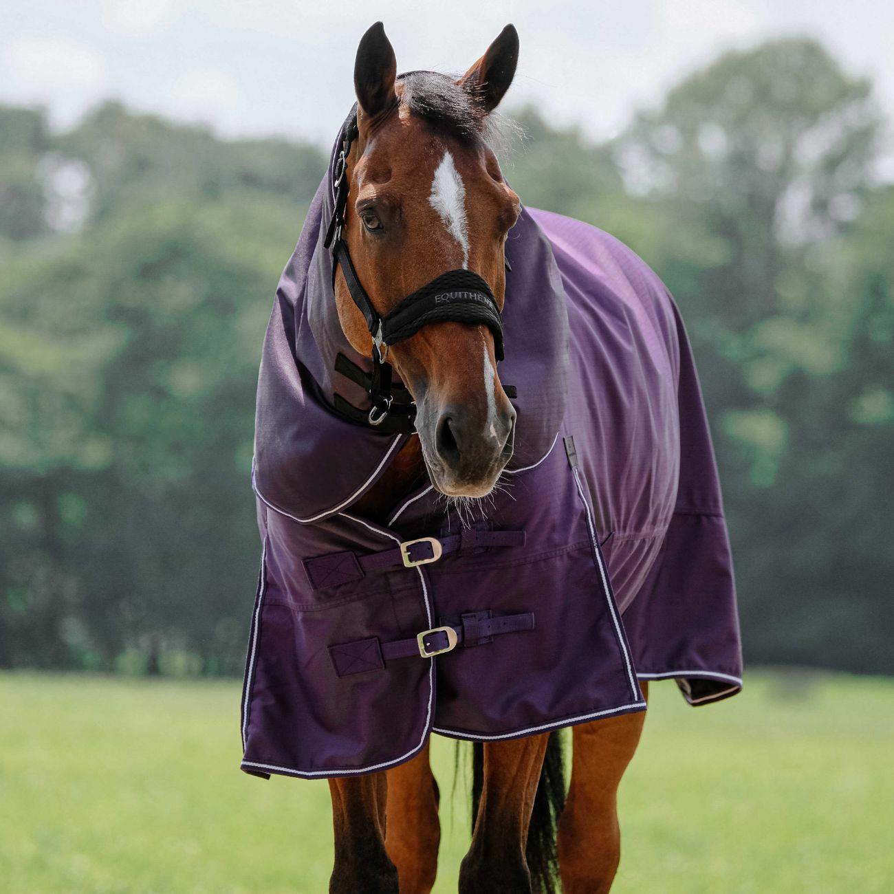 Copricollo Tyrex 600D 0g Equitheme 400566 PLUM EQUITHEME 