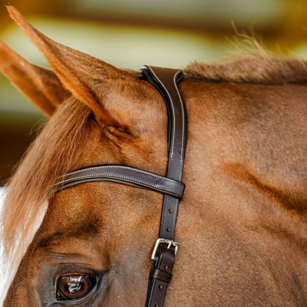 TESTIERA MICKLEM COMPETITION HORSEWARE SBMBN1 BROWN HORSEWARE 