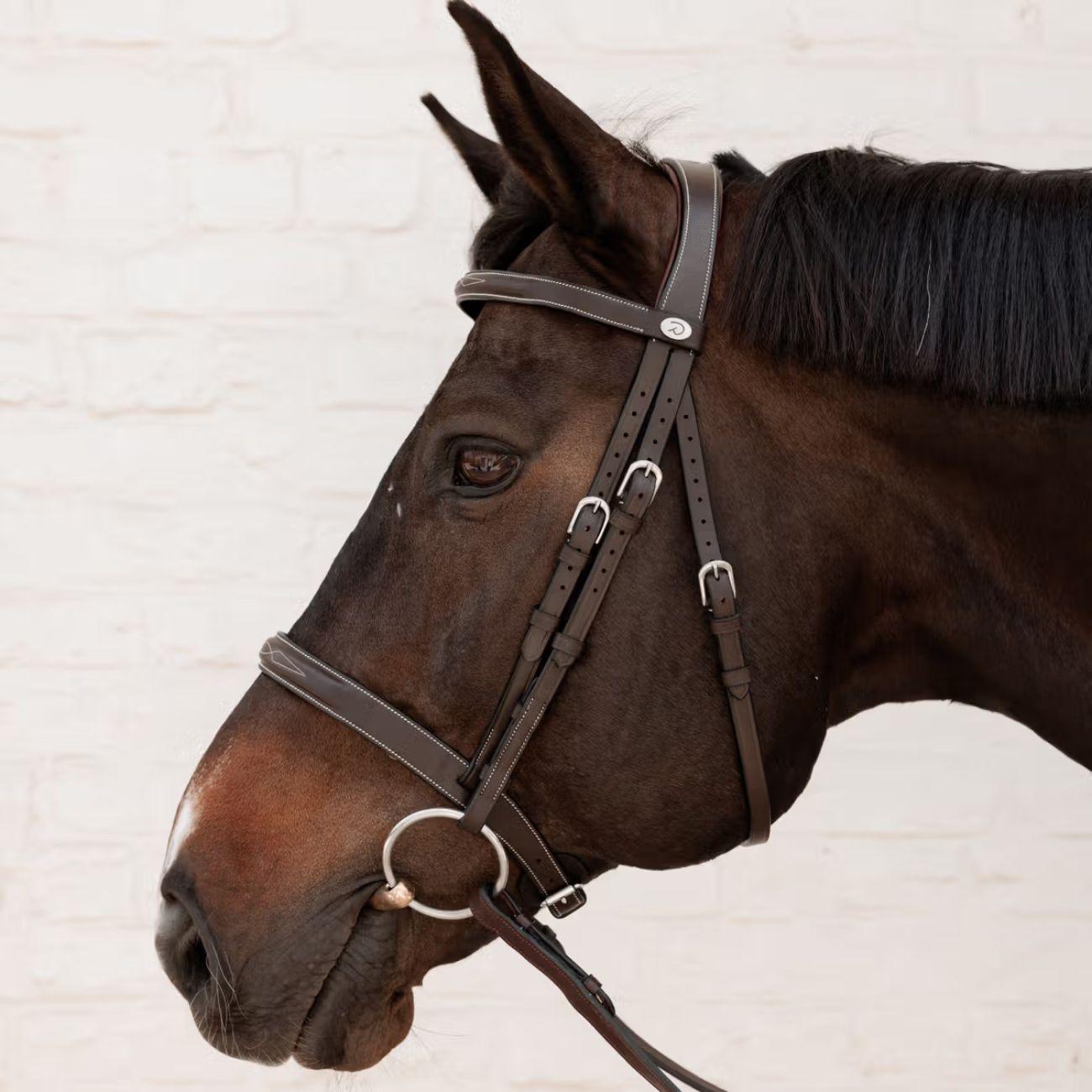 Testiera Cavesson Hunter Wo Dy'on WOADAK BROWN DYON 