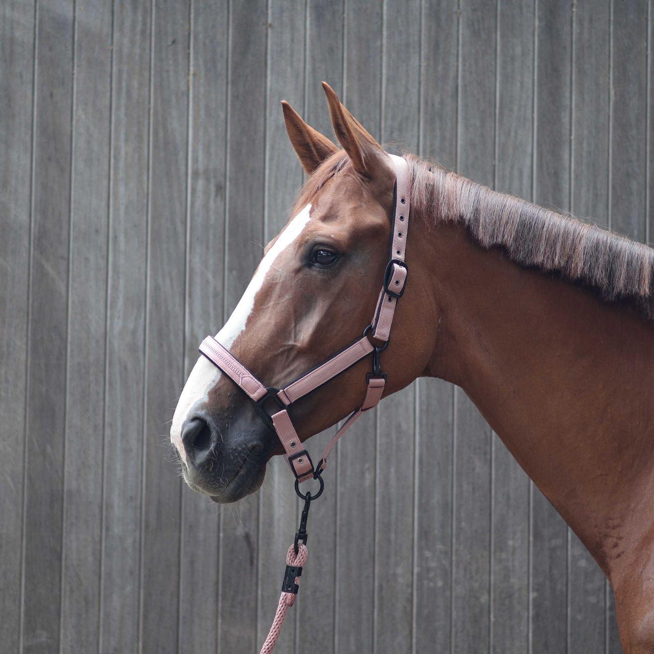 555026 016PINK LAMICELL