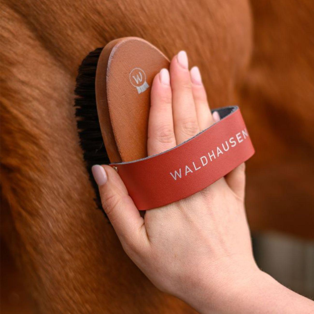 Brusca Hardwood Con Setole Sintetiche Waldhausen 3825301 LEGNO WALDHAUSEN 