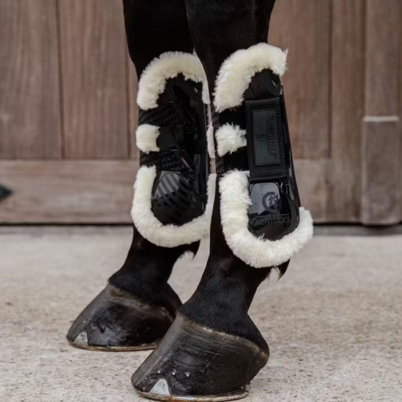 88104 01BLACK KENTUCKY