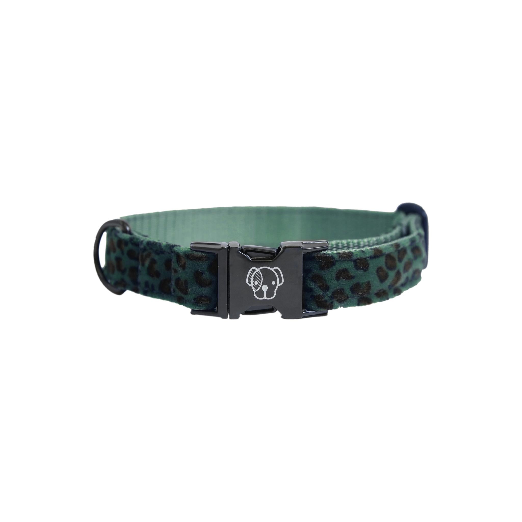 COLLARE PER CANE COCCODRILLLO KENTUCKY 09KT-42630 73LEO GREEN KENTUCKY