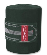 FASCE RIPOSO WEB ANIMO 18AM-WEB green SCURO ANIMO
