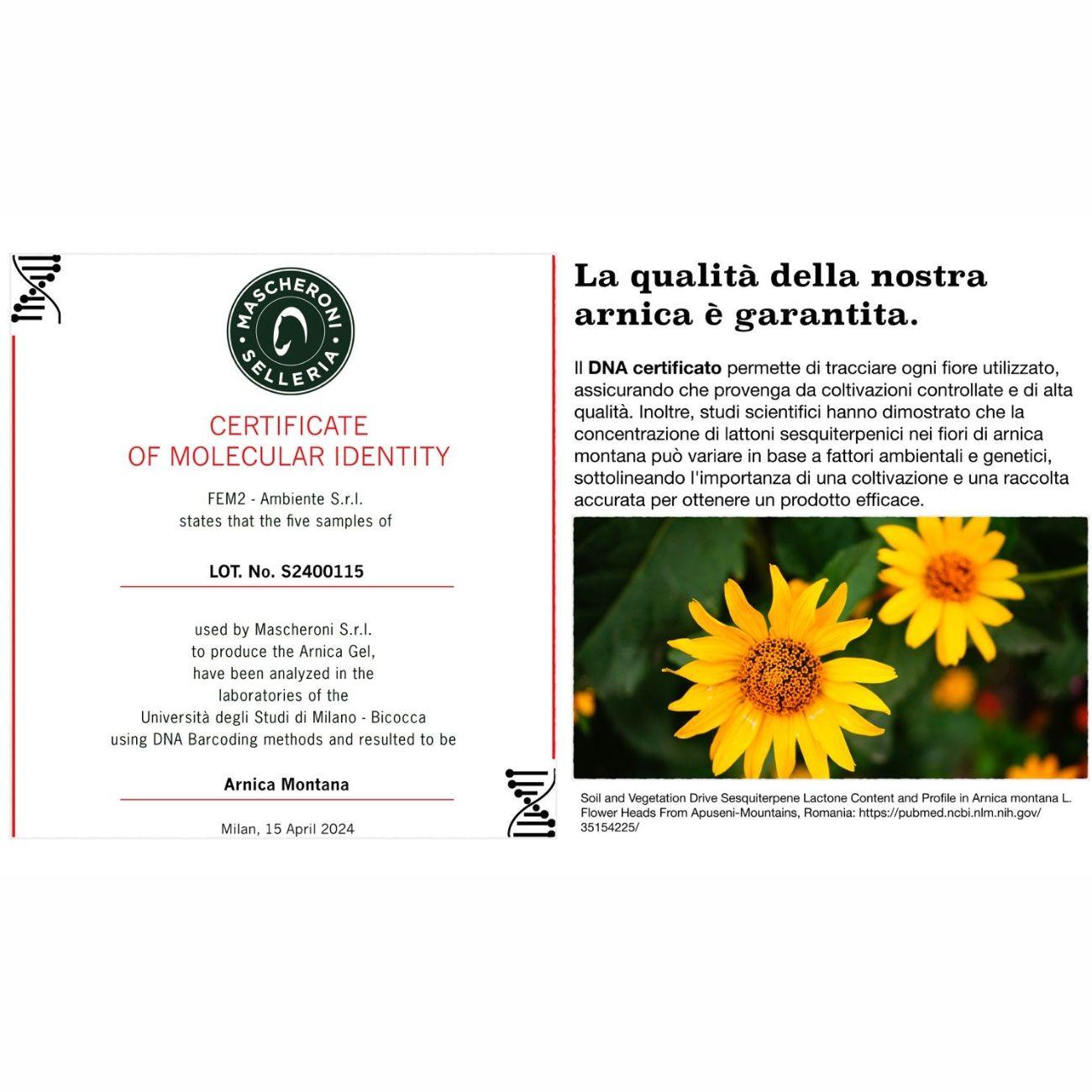 ARNICA NATURALE 90 - 500ML MC005 NEUTRO MASCHERONI SELLERIA 