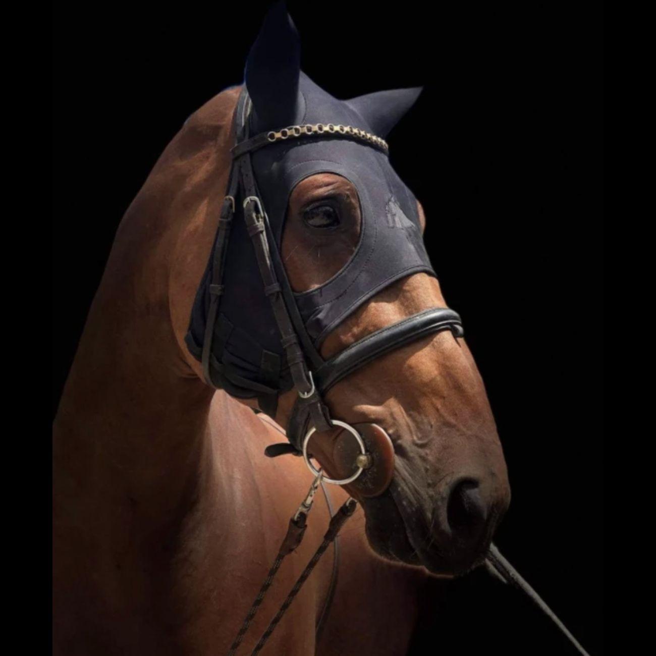 Maschera In Titanio Liquido Con Orecchie Jvh Eventing Europe FENCHLTMAEM TITANIUM JVH EVENTING EUROPE 
