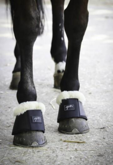 545900 204BLACK PENELOPE