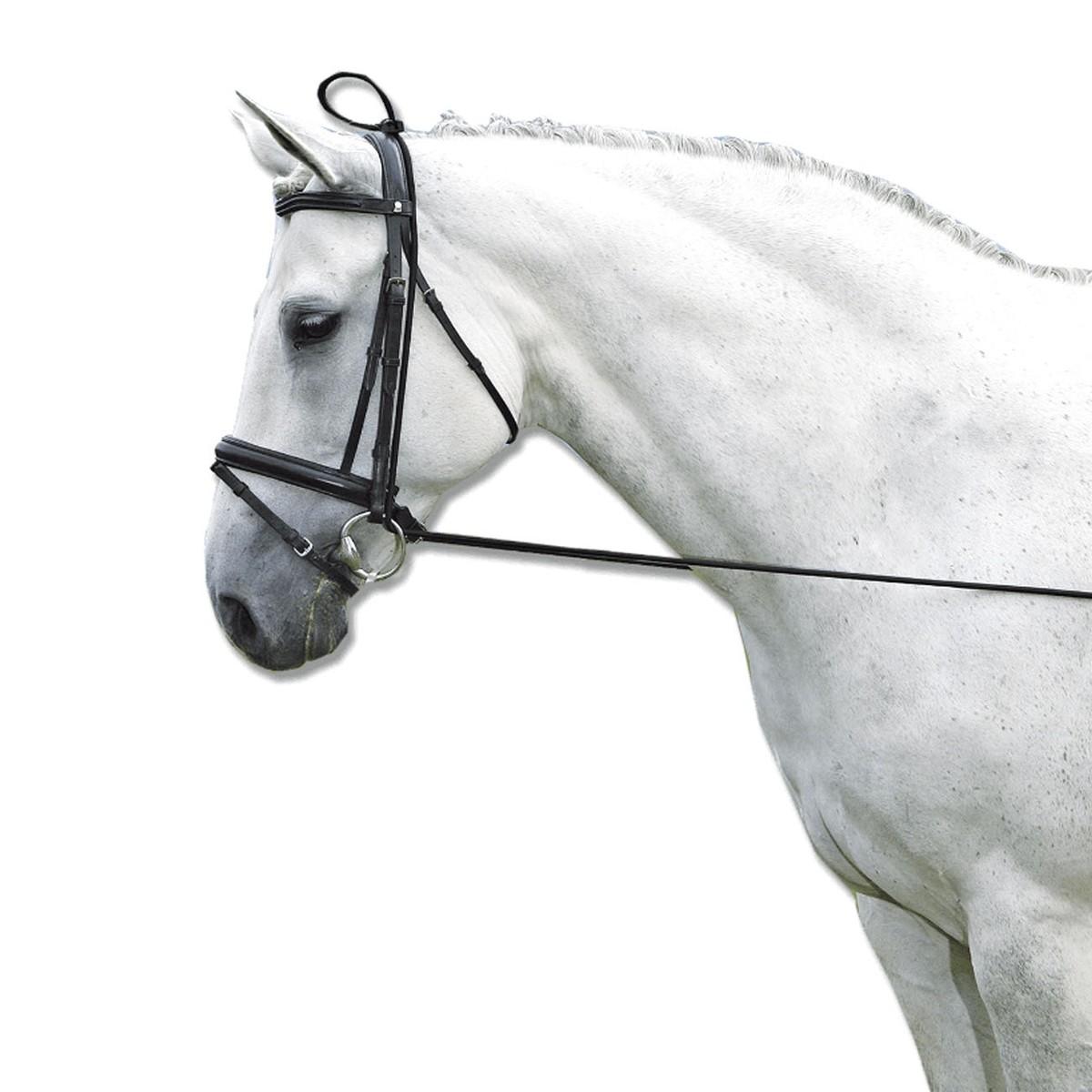 Gogue Elastico Waldhausen 09WL178201 BLACK WALDHAUSEN 