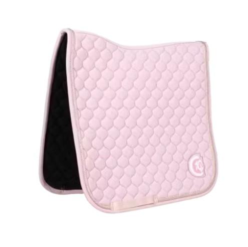 42728-DR 50LIGHT ROSE KENTUCKY