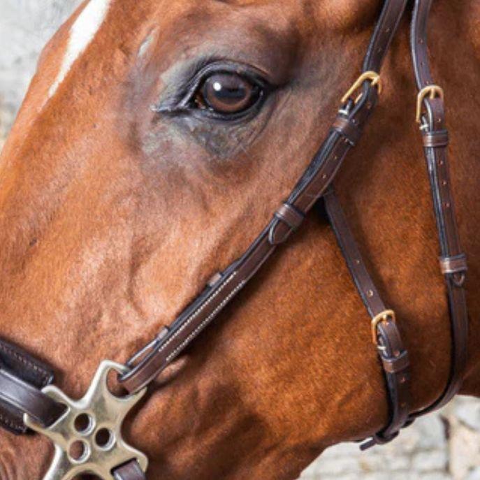 DY'ON HACKAMORE CHEEKPIECES D COLLECTION Marrone CAPEZZINI E CAPEZZE DY03D BROWN DY'ON 