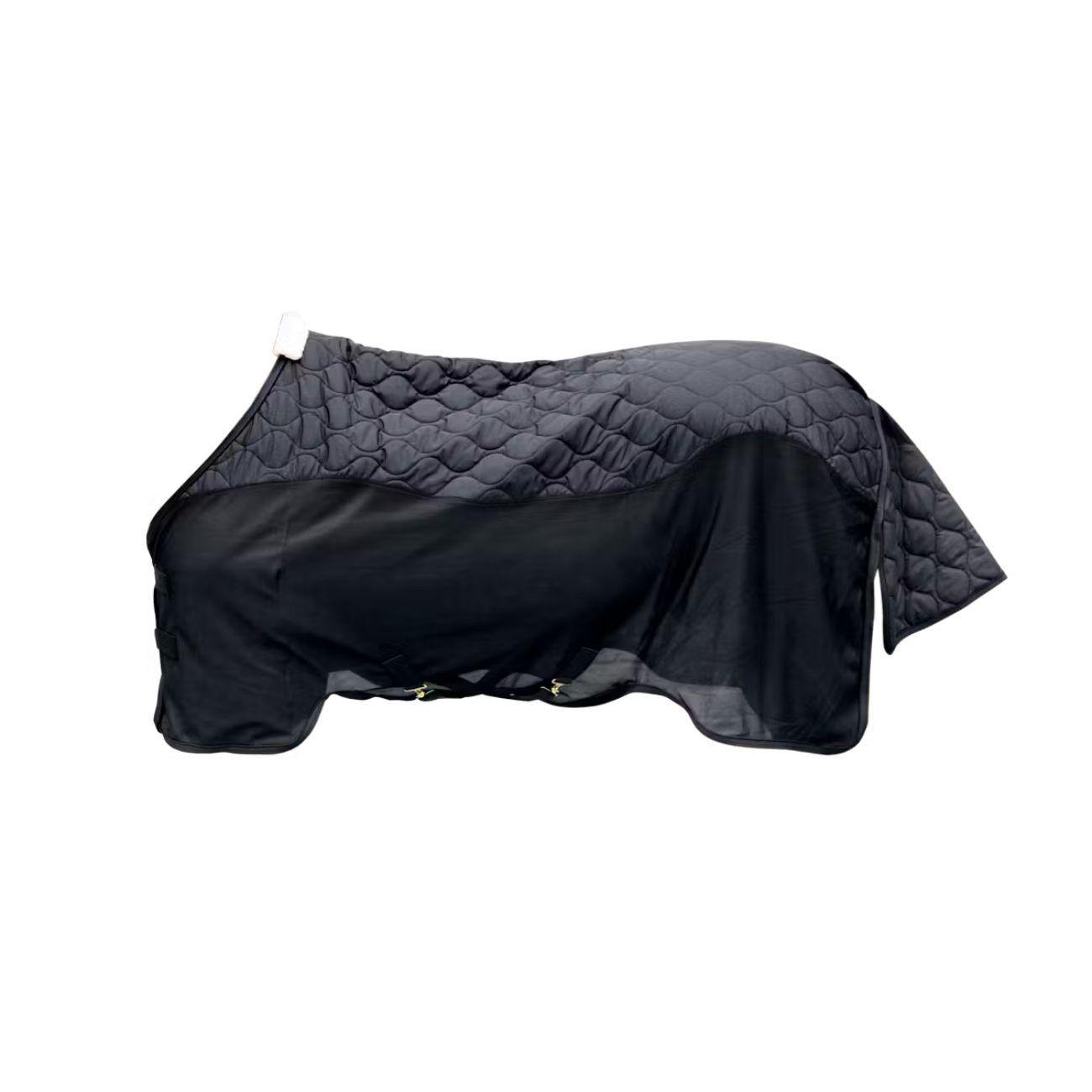 52128 01BLACK KENTUCKY