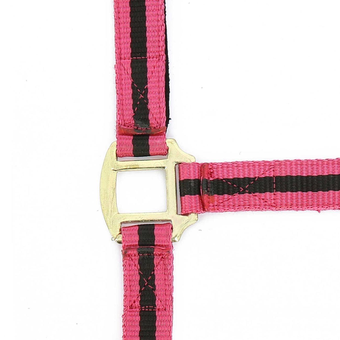 Capezza In Nylon Norton Nero/Fuxia 5101 RAS/BLACK NORTON 
