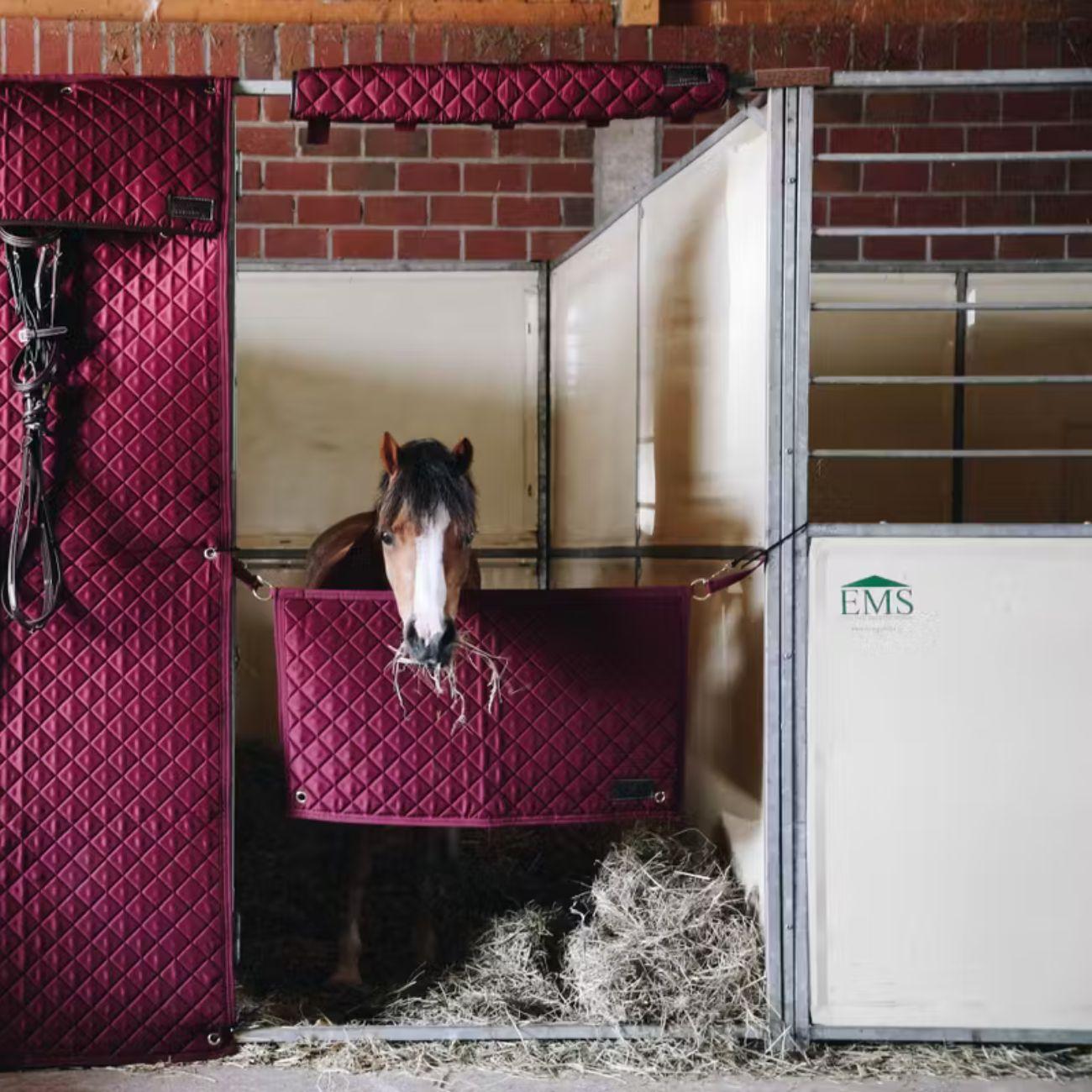 Protezione Per La Testa Da Box Bordeaux 82103 17BORDEAUX KENTUCKY 