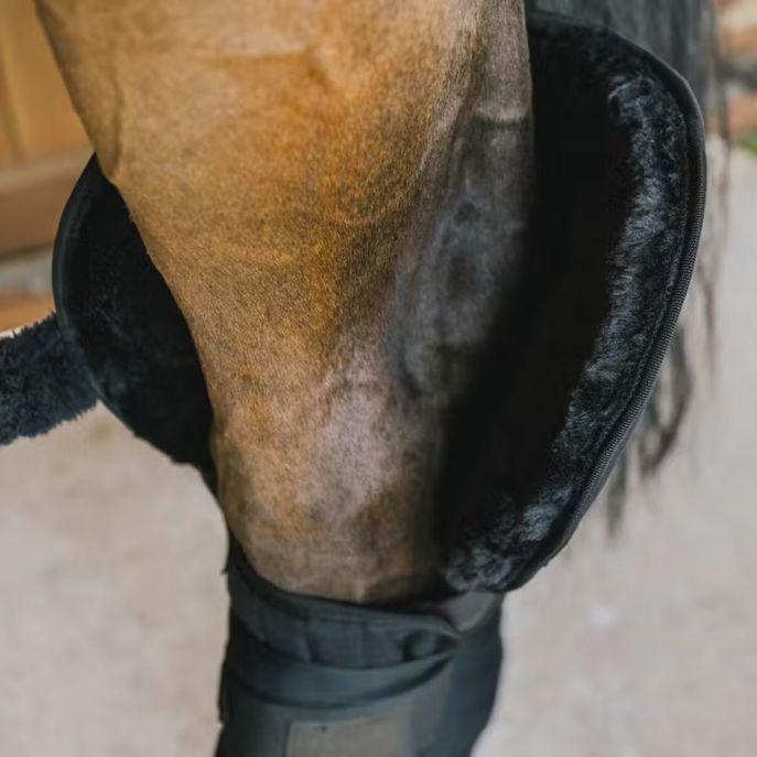 Paracolpi Transport Stable Bandage Pad with Hock Protection Kentucky 42118 01BLACK KENTUCKY 