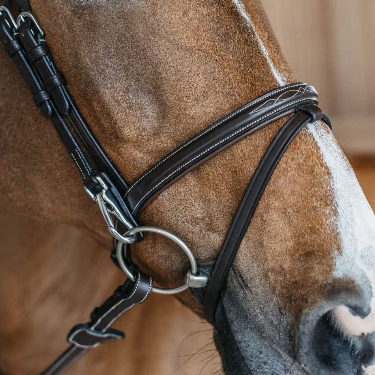 TESTIERA CON CAPEZZINA FLASH E MOSCHETTONI DY'ON WOAPGB BROWN DY'ON 