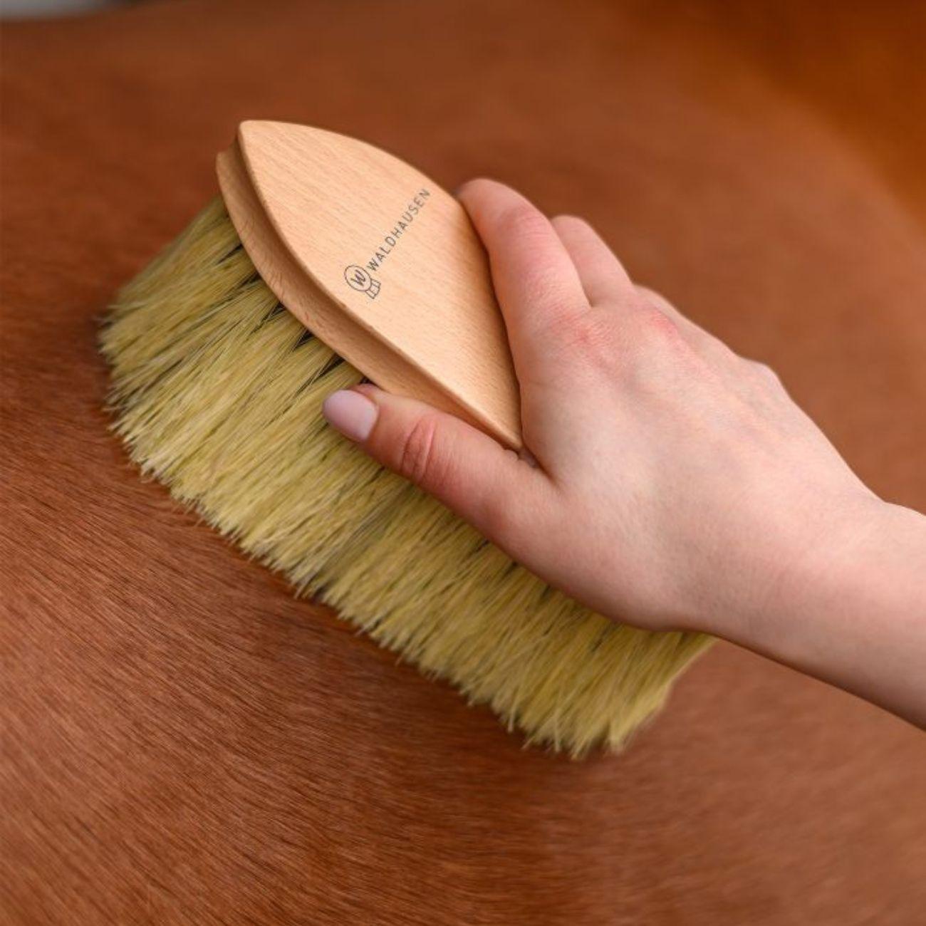 Brusca Per Manto Exclusive Line Waldhausen 3874720 LEGNO WALDHAUSEN 