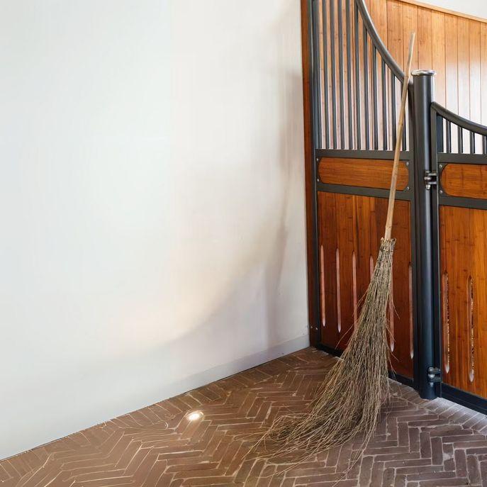 Scopa In Bamboo Grooming Deluxe 82178 00 GROOMING DELUXE 