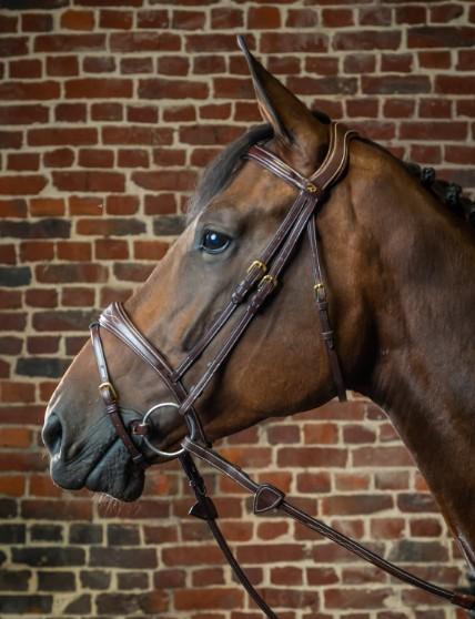 DY'ON ANATOMIC FLASH NOSEBAND BRIDLE D COLLECTION Marrone BRIGLIE DYABAB BROWN DY'ON 