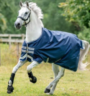AARA16-BBE0 NAVY/ELECTRICBLUE HORSEWARE