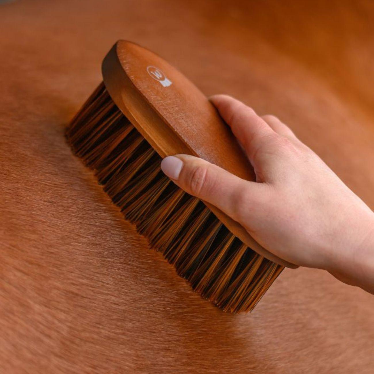 Brusca Hardwood Con Setole Lunghe Waldhausen 3825401 LEGNO WALDHAUSEN 