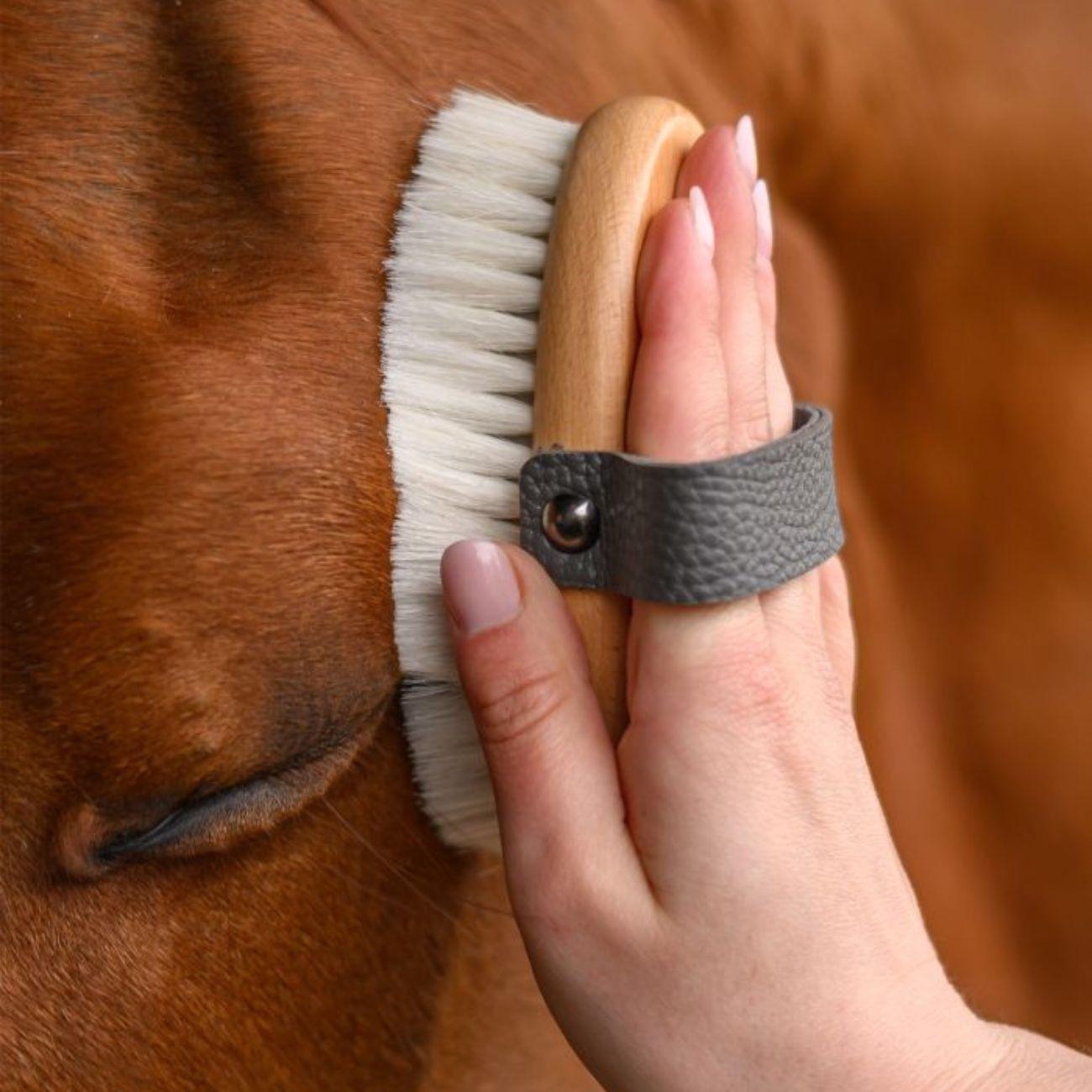 Brusca Head Grooming Brush Exclusive Line Waldhausen 3874313 NEUTRO WALDHAUSEN 