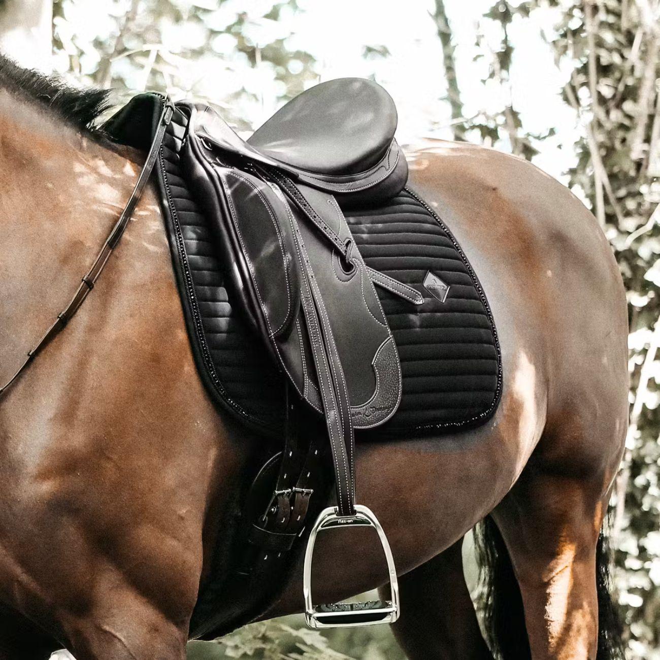  42572-DR 01BLACK KENTUCKY 