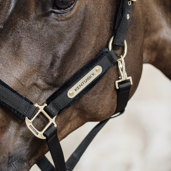 CAPEZZA IN VELLUTO KENTUCKY 42558 01BLACK KENTUCKY 
