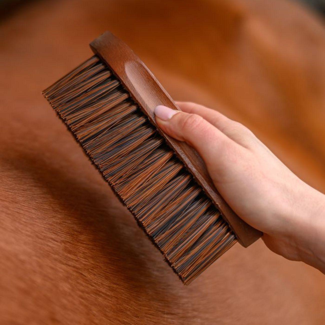 Brusca Hardwood Con Setole Lunghe Waldhausen 3825401 LEGNO WALDHAUSEN 