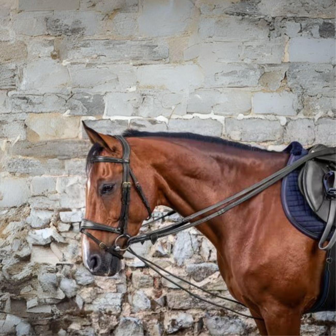 DY'ON LEATHER/NYLON DRAW REINS 5/8 D COLLECTION DY'ON Nero REDINI DY08B BLACK DY'ON 