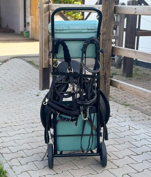Waldhausen STABLE CARRY Nero ACCESSORI 173800 BLACK WALDHAUSEN 