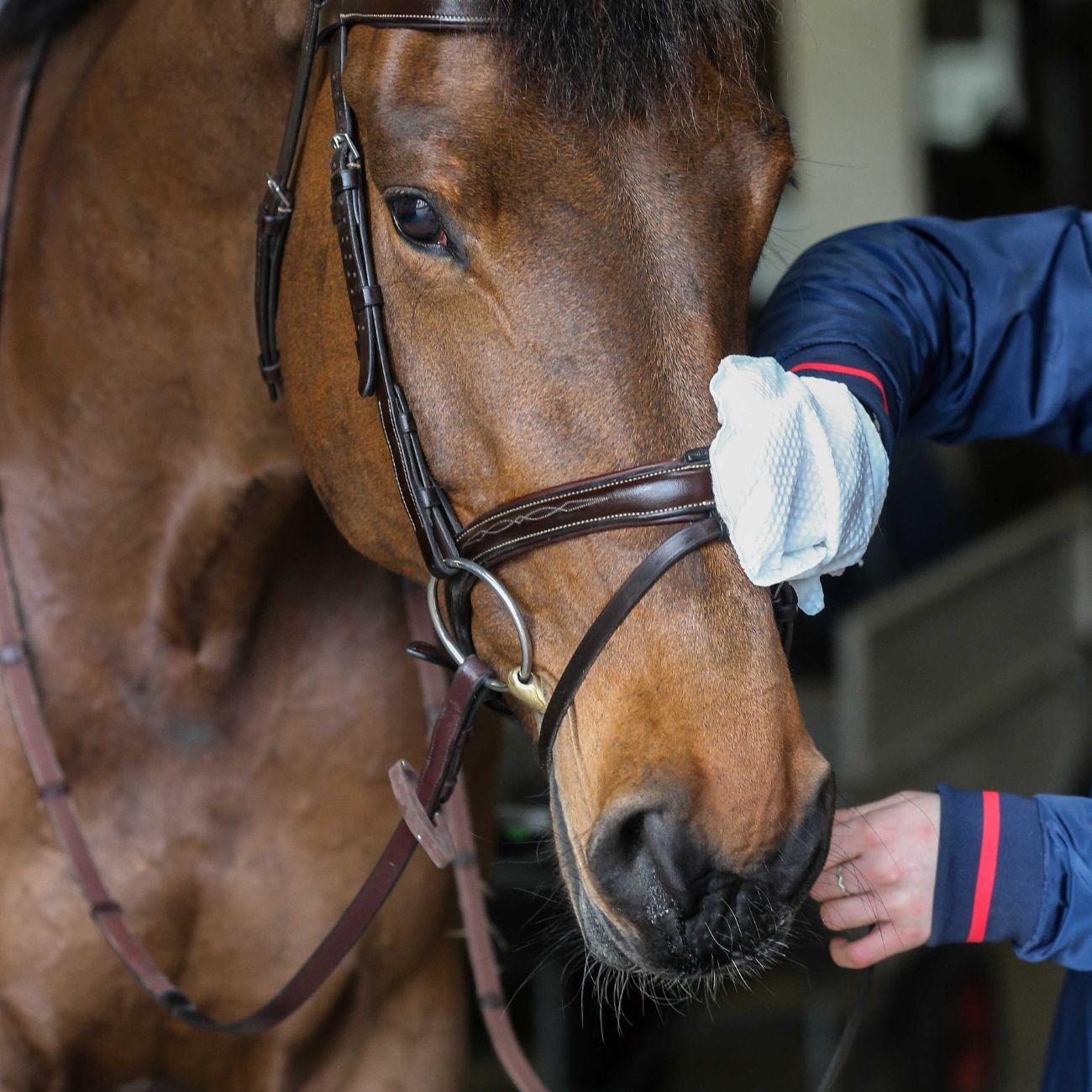 Carr & Day & Martin BELVOIR TACK CLEANER MITT STEP 1 - detergente per cuoio spray (Step 1) 726018 NEUTRO CARR AND DAY AND MARTIN 