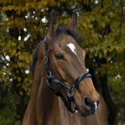 510629 177DARK BLUES/TURQUOISE EQUITHEME