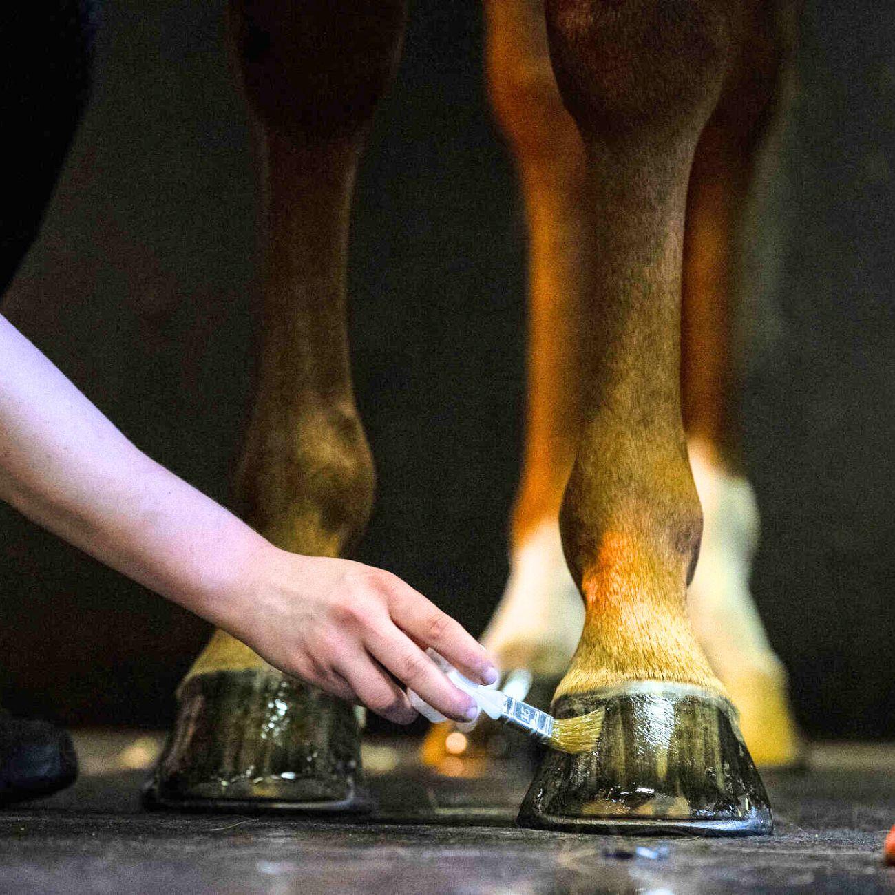 Olio Per Zoccoli Hoof Dressing Liquid Penelope 727006 NEUTRO PENELOPE 