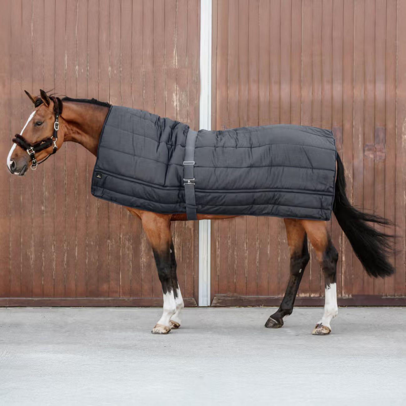 Sottocoperta Horse Duvet 300gr Kentucky Nero 09KT42144 BLACK KENTUCKY 