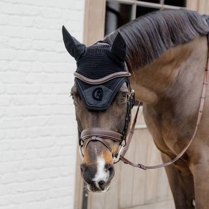 DY'ON PLAITED FLASH NOSEBAND BRIDLE WITH PULL BACK D COLLECTION Marrone TESTIERE DYAJAZ BROWN DY'ON 