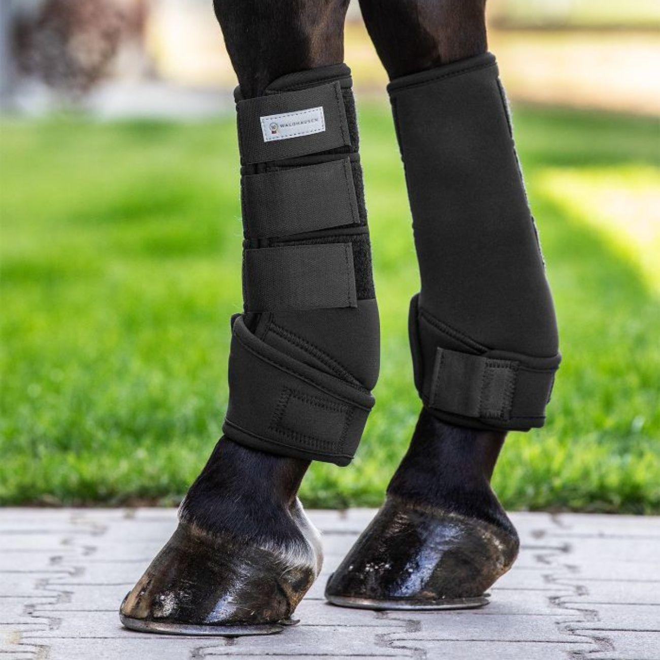 Coppia Di Paratendini Protect Waldhausen 3858 01BLACK WALDHAUSEN 