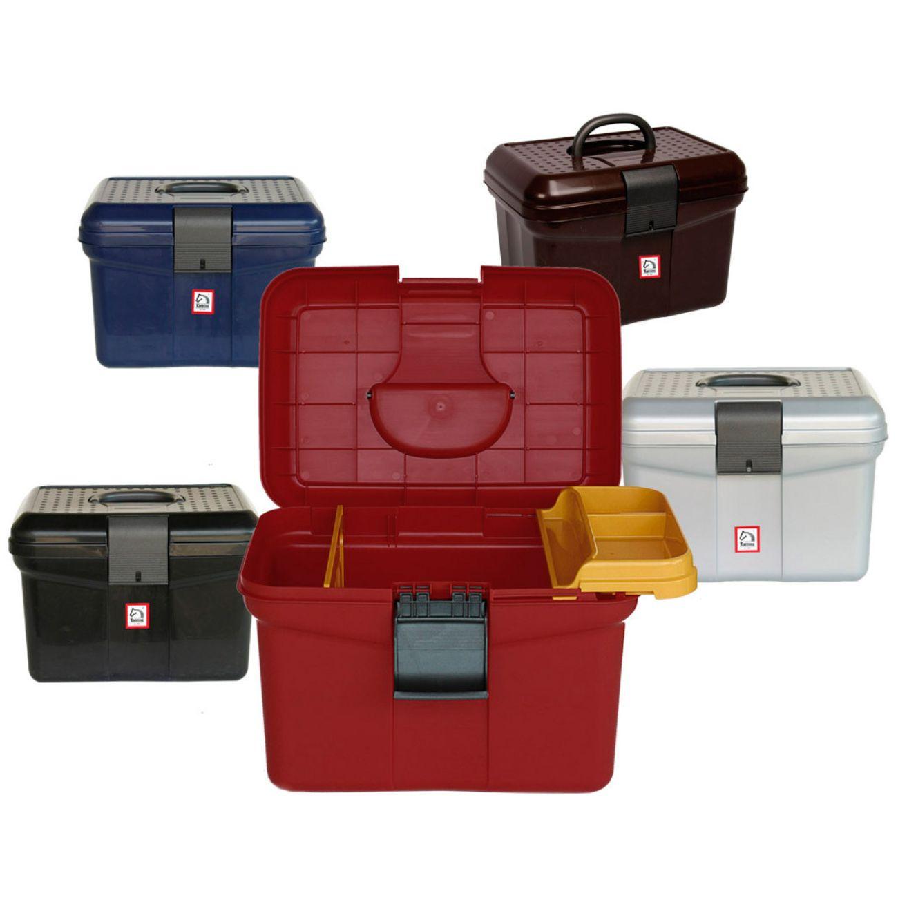 BAULETTO PORTATTREZZI 09TA6801599 ASSORTITI TATTINI