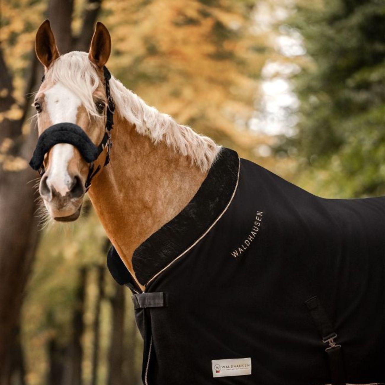 Waldhausen HALTER MODERN ROSE' WALDHAUSEN Nero CAPEZZINI E CAPEZZE 11154 01NERO WALDHAUSEN 