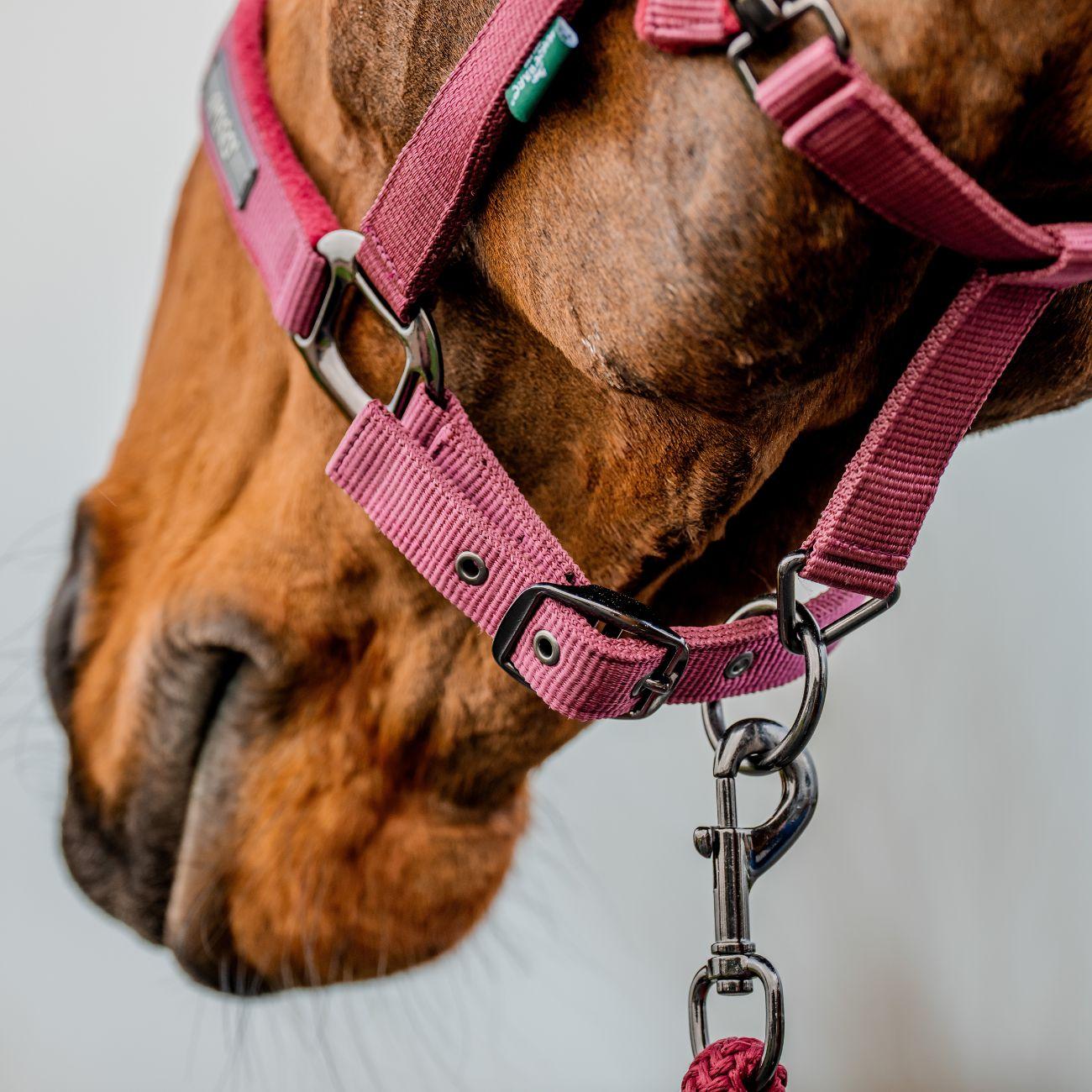 Set Capezza E Lunghina Amigo Horseware Bordeaux DHRX01 RRR0MULBERRY HORSEWARE 