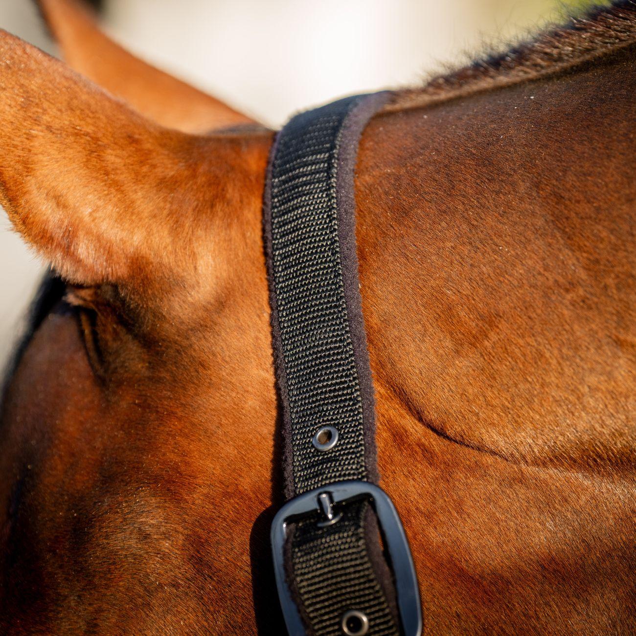 Set Capezza E Lunghina Amigo Horseware Nero DHRX01 K000BLACK HORSEWARE 