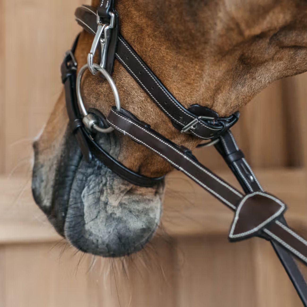 TESTIERA CON CAPEZZINA FLASH E MOSCHETTONI DY'ON WOAPGB BROWN DY'ON 