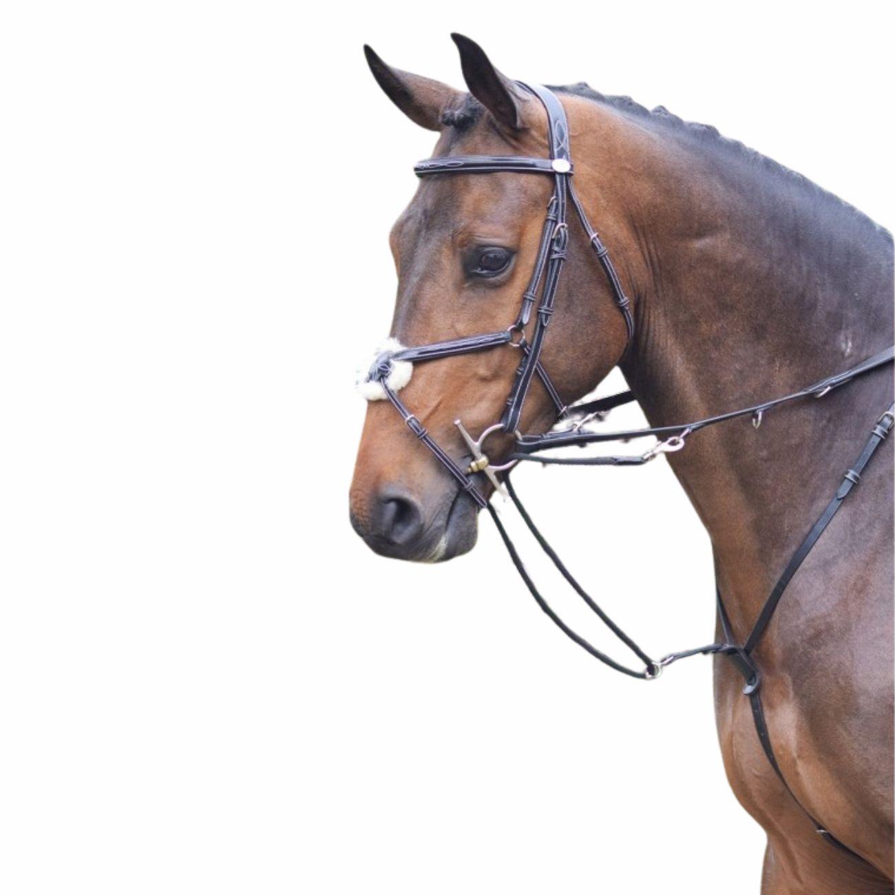 JUMP'IN REDINI TIEDEMAN JUMP'IN BLACK martingale e forchette ENH 09JUENH BLACK JUMP'IN 