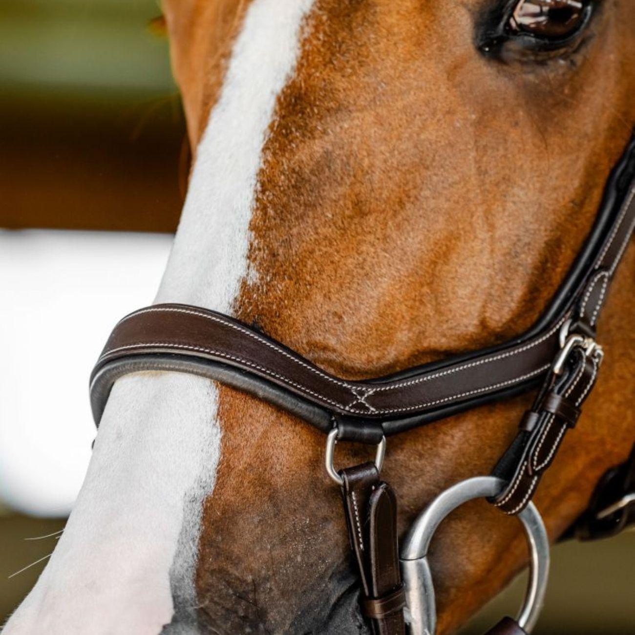 TESTIERA MICKLEM COMPETITION HORSEWARE SBMBN1 BROWN HORSEWARE 