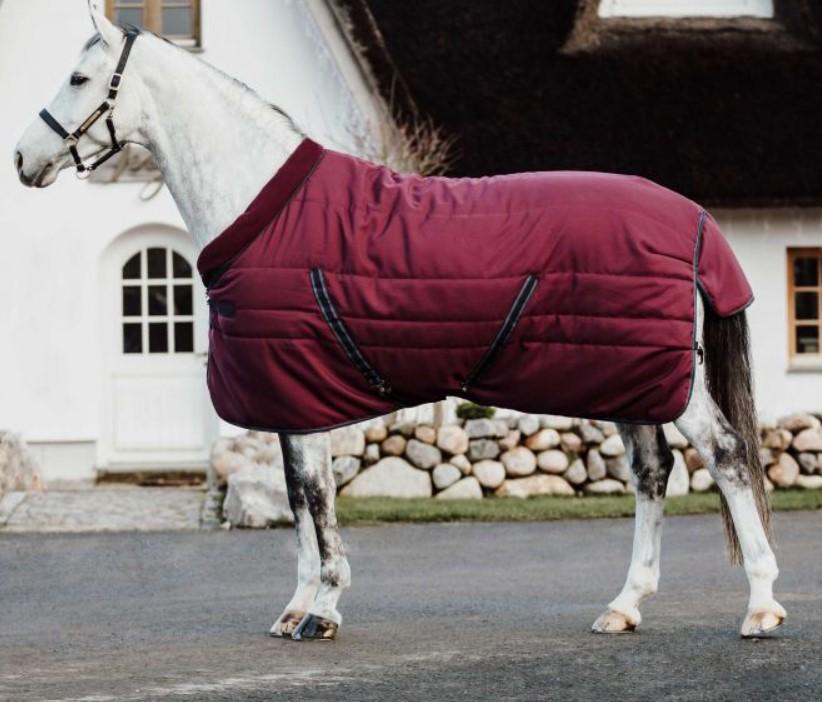  31HO-ABAE42 BURGUNDY TEAL NAVY HORSEWARE 
