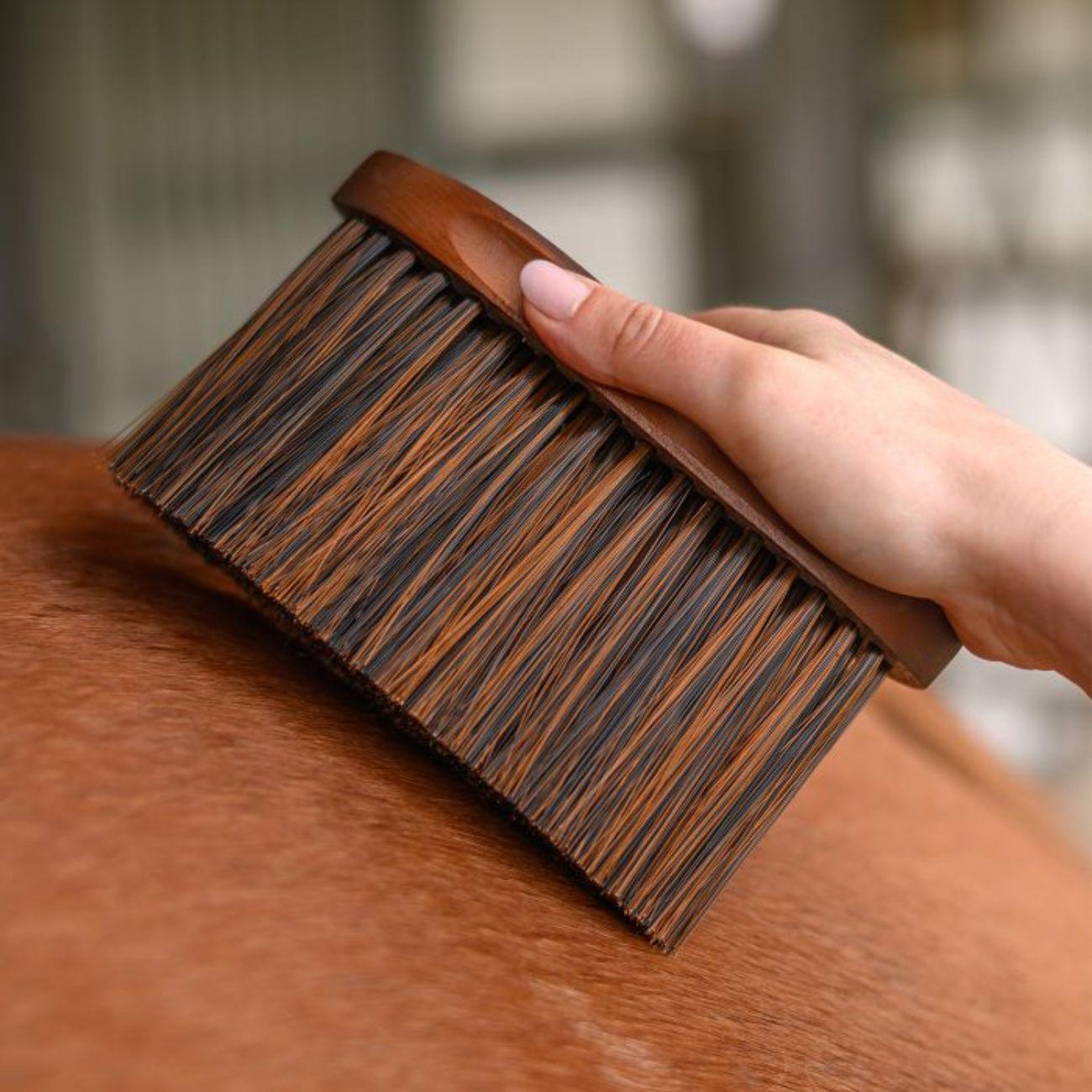 Brusca Anti-Dust Hardwood Waldhausen 3825501 LEGNO WALDHAUSEN 