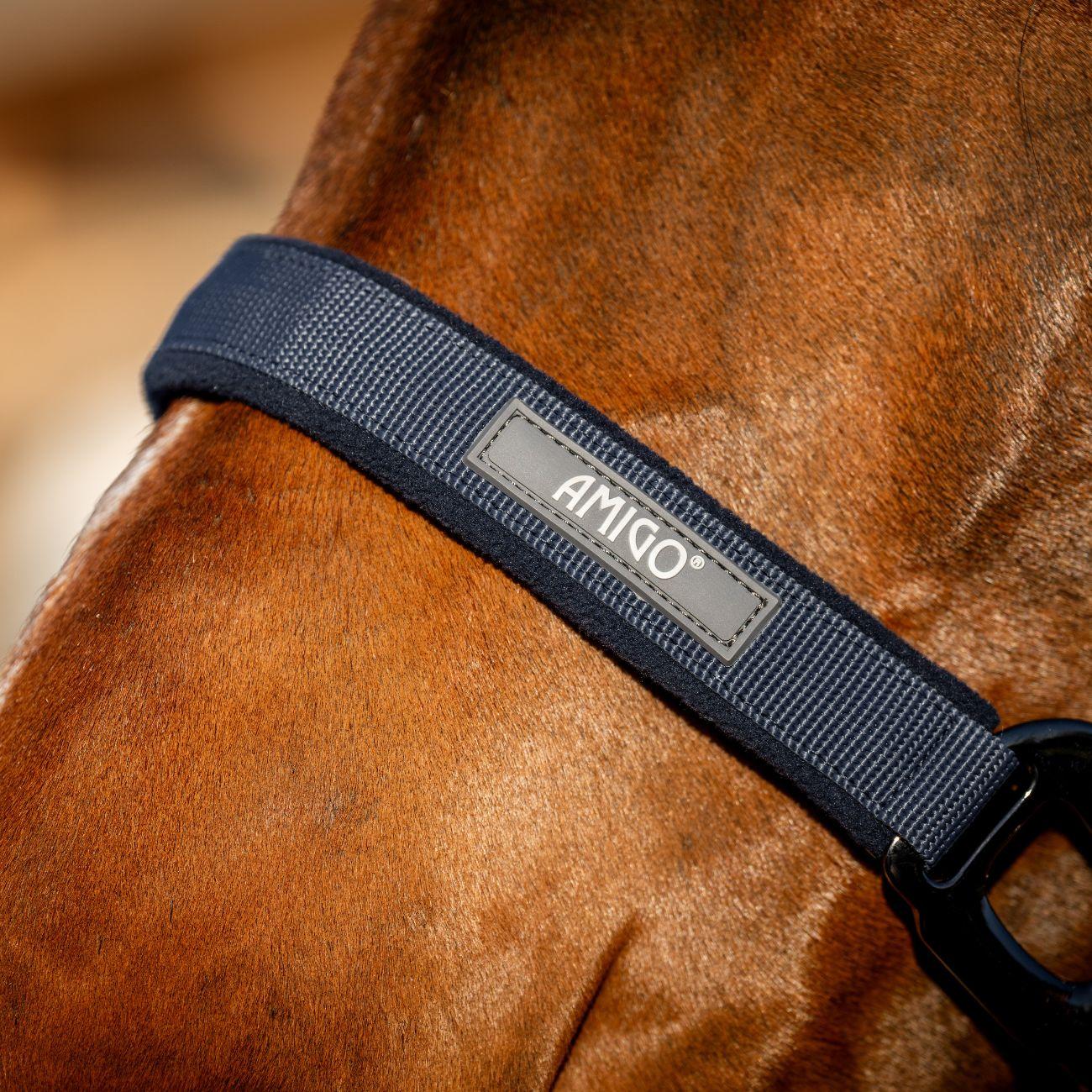 Set Capezza E Lunghina Amigo Horseware Blu DHRX01 B000NAVY HORSEWARE 