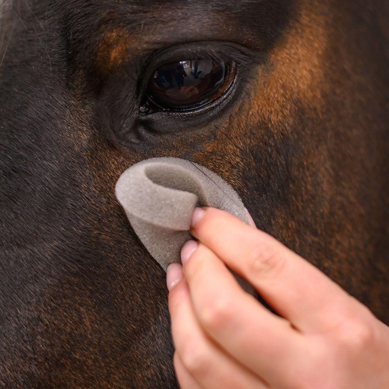 Spugna Rotonda Waldhausen 3752100 NEUTRO WALDHAUSEN 