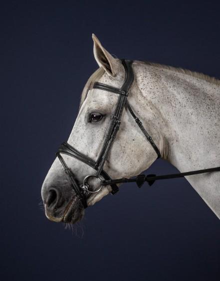 DY'ON ANATOMIC FLASH NOSEBAND BRIDLE NEW ENGLISH COLLECTION Nero BRIGLIE NEABAB BLACK DY'ON 