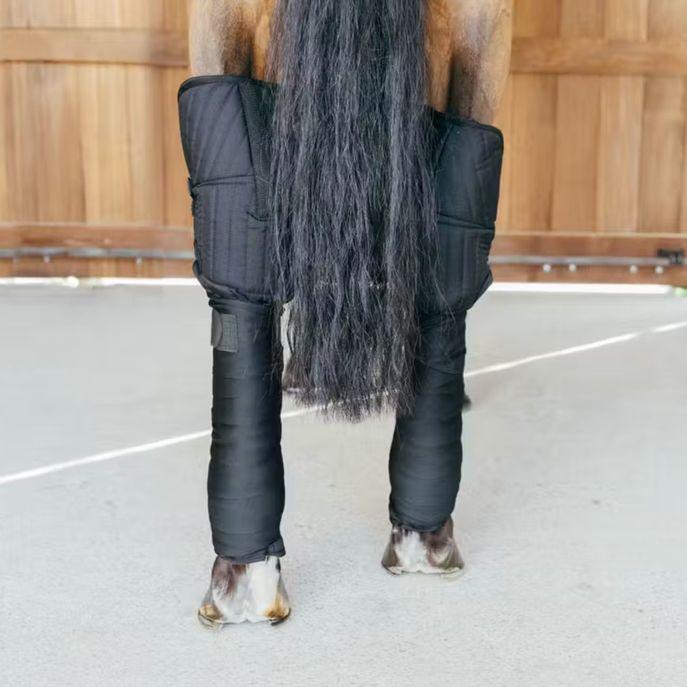 Paracolpi Transport Stable Bandage Pad with Hock Protection Kentucky 42118 01BLACK KENTUCKY 